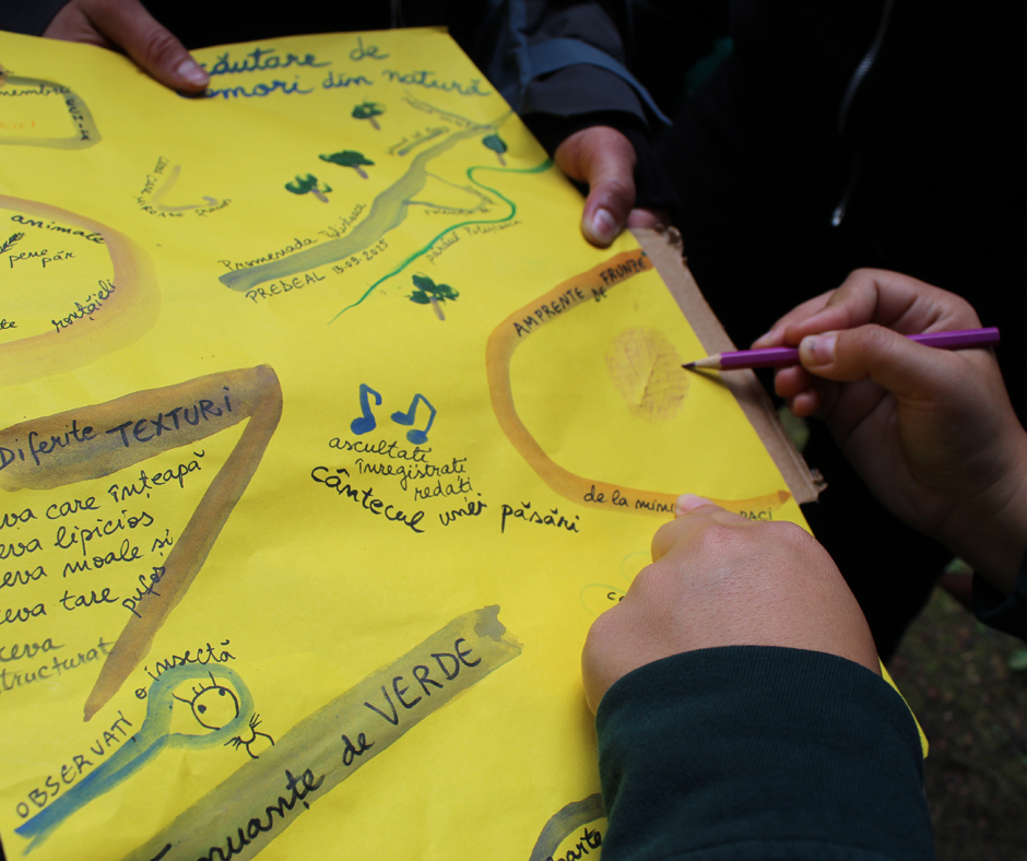 RECreatia in natura_ARNIS_2025 (200)