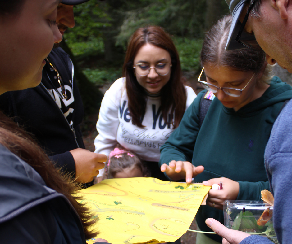 RECreatia in natura_ARNIS_2025 (220)